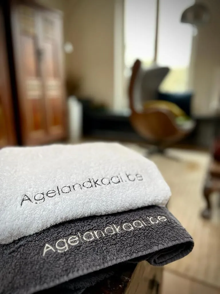 Apartament Agelandkaai Gandawa Belgia